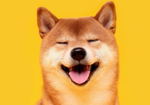 Can you buy dogecoin in a roth ira?
